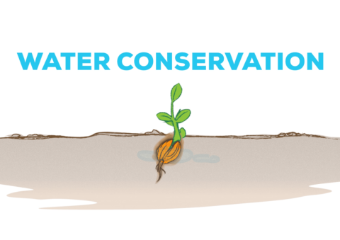 Water Conservation